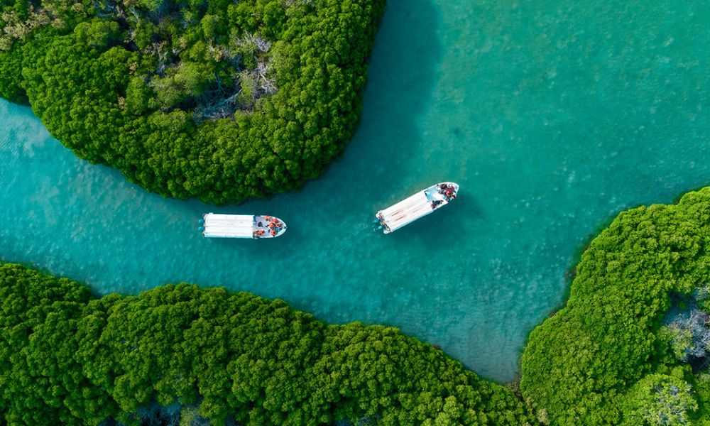 Farasan Islands Saudi Arabia
