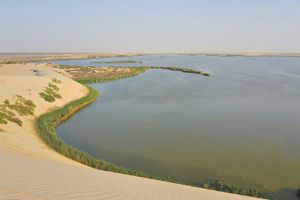 Al Ahsa Oasis
