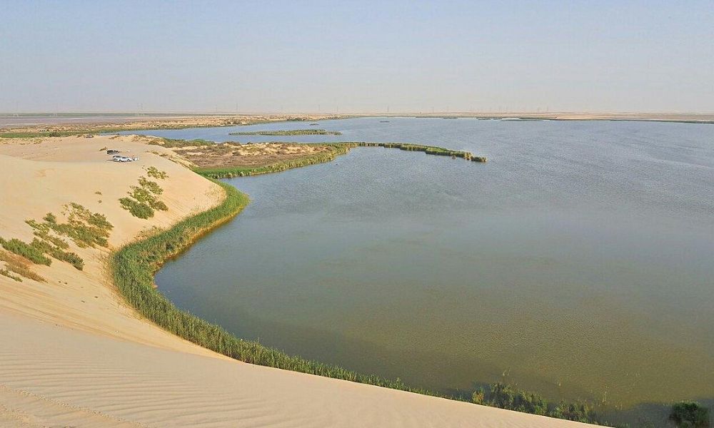 Al Ahsa Oasis